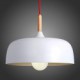 Chandeliers Mini Style Modern/Contemporary Living Room/Bedroom/Dining Room/Kitchen/Study Room/Office Metal