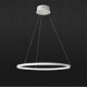 40W Pendant Light Modern Design/High Quality LED Ring/Fit for Showroom,Living Room, Dining Room,Study Room/Office