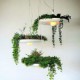 E27 40*20CM Led Aluminum Droplight Nordic Creative Contracted Sky Garden Lamps And Lanterns Led Light No Soil Plant