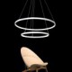 48W Pendant Light Modern Design/High Quality LED Two Ring/Fit for Showroom,Living Room, Dining Room,Study Room/Office