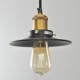 MAX:60W Country Mini Style / Bulb Included Painting Metal Pendant Lights Bedroom / Dining Room / Study Room/Office / Entry / Hal
