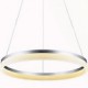 Round LED Pendant Light Modern Acrylic Lamps Lighting Luxurious Single Ring D100CM Ceiling Lights Fixtures