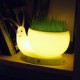 18.5*8.8*9.5CM Snail Light Creative Small Night Light Usb Rechargeable Office Green Plant Led Desk Lamp Light Led